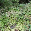 계룡산골프장 이미지