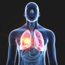 머슬팩토리24 보건대점 이미지