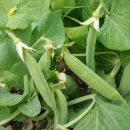 건강웰빙밥상 이미지