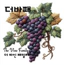더 바인 패밀리(The Vine Family), 더바패 탄생