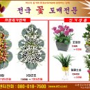 [협력업체홍보] 3단근조화환 가격혁명안내! - 판촉책자 배포안내 이미지