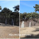 보령 충정공 이시방신도비 이미지