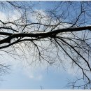 오방길(산성길) 이미지