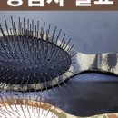 히든밸리켄넬 이미지