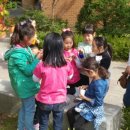 동막초등학교 이미지