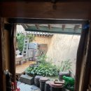 마당너른집 | 혜화맛집_서울 한복판 한옥에서 즐기는 삼계탕 맛집 들깨삼계탕,마당삼계탕 후기[마당너른집]