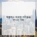 애견스토리 이미지