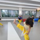 행복한태권도장 이미지