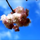 서산명소