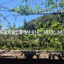 금와부동산중개사무소 이미지