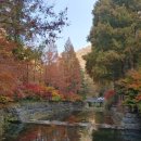 장태산휴양림 이미지