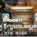 (주)에스파이어텍