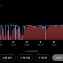 이월십오일