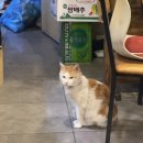 왕경막걸리 이미지