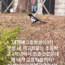 아아!오에이!