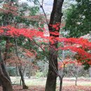 장춘여관 이미지