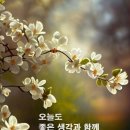 해뜨는아침 이미지