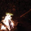 티라노부동산공인중개사사무소 이미지