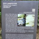 울주 대곡리 반구대 암각화 티스토리