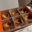 유어스베이크샵 목동 에그타르트 맛집, 선물세트 후기
