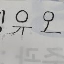 김유오 Daum카페