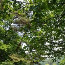 원주굽이길 13코스 구력재길 이미지