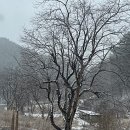 부남우체국 이미지