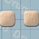 싱귤레어(정) 이미지