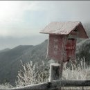 지리산풀잎 이미지