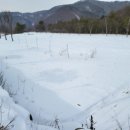 관성3리 이미지