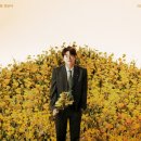 이무진 카카오 검색결과