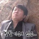 신서촌로 네이버블로그
