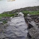 스테고사우루스-2 이미지