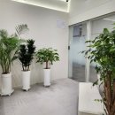 굿닥터이비인후과의원 이미지