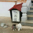 한결TEXTILE | 토익만점 도전기 박혜원 파워토익 800+ 단기완성 수강후기 11강~20강(내돈내산)