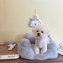 꽃내음나개 네이버블로그