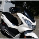 정발산로 이미지