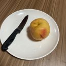 덕순네 돈까스 | 2021 한여름의 췐기선배, 장수살이 44·45·46일차