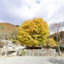 올래 캠핑장 이미지