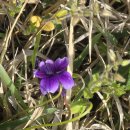 5월1일(금) 용인특례시 시티투어 ㆍ유정님깃발//추가 사진보충 보내주신 사진 첨부합니다 이미지