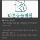 영동동물병원 이미지