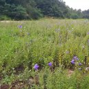 지원농장 이미지