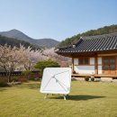 안테나농장 | 스타링크 한국 출시 가격 속도 솔직한 사용 후기