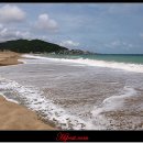 동해바다 이미지