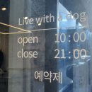 리윗독 이미지