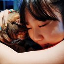 수원-0611 이미지