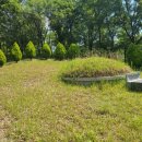 신두왕로 이미지