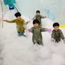 그로잉모모 네이버블로그