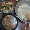 꽁보리밥 이미지