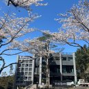 포도원흑돼지 | 제주도 현지인맛집 포도원 흑돼지에서 양념게장에 반하고 온 후기